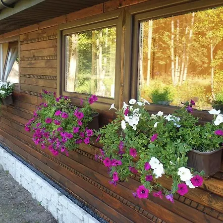 Jurajska Sielanka - Domek Nad Rzeczka Pradla Esterno foto