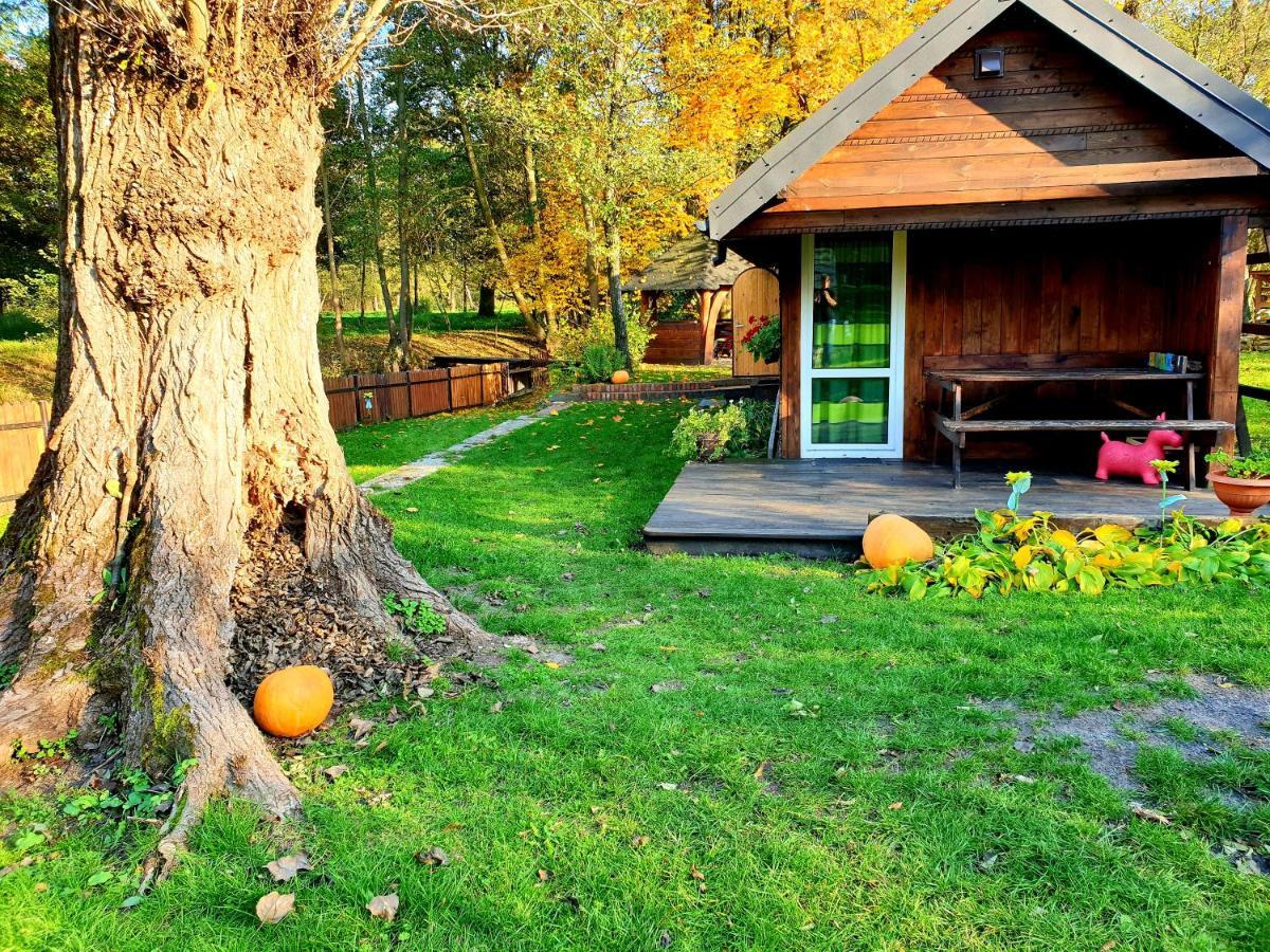Jurajska Sielanka - Nad Rzeczka Casa vacanze *