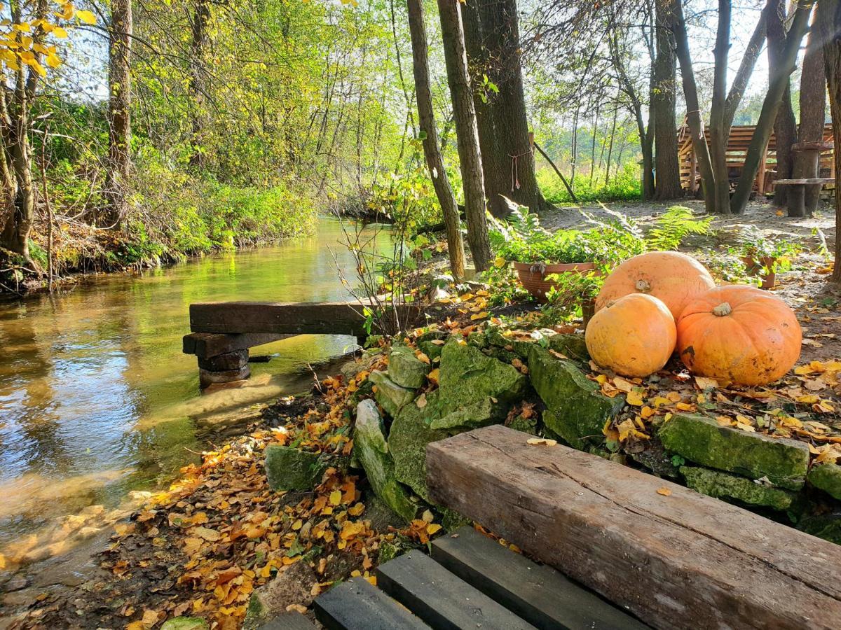 Jurajska Sielanka - Nad Rzeczka Casa vacanze *