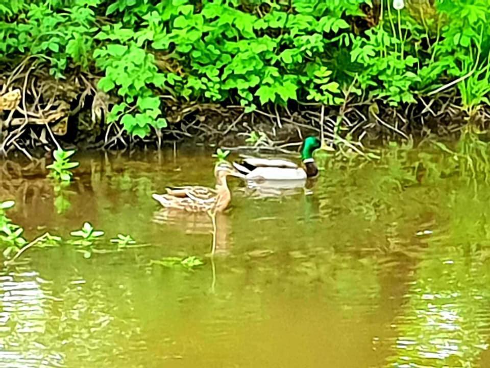 Jurajska Sielanka - Nad Rzeczka *
