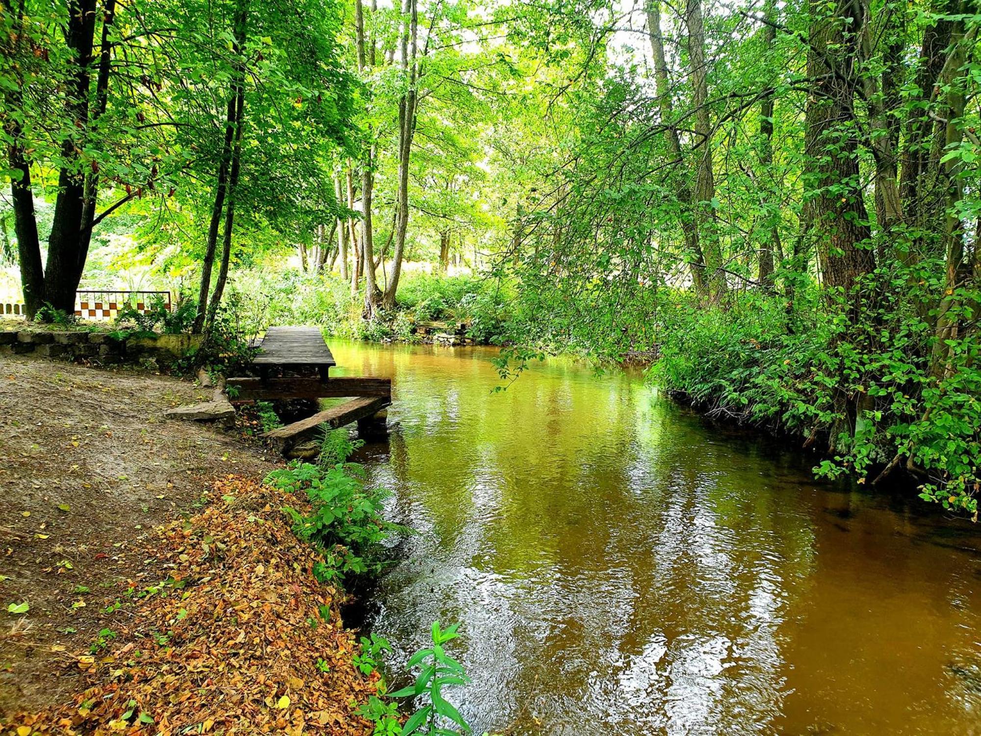 Jurajska Sielanka - Nad Rzeczką Pradla